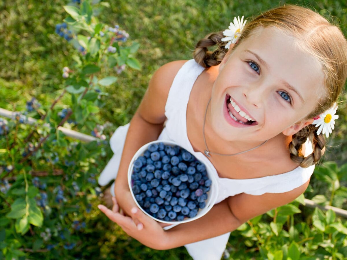 Ягодку найду. Девочка с ягодами. Собирать ягоды. Лето дети. Дети собирают ягоды.