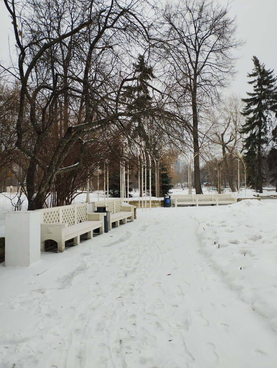 Москва, парк Горького. Январь 2023