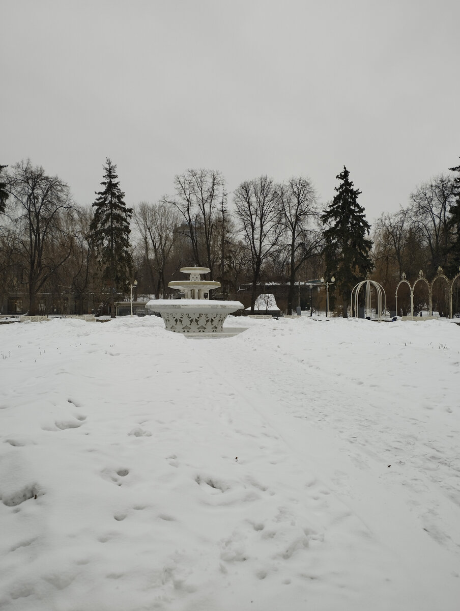 Москва, парк Горького. Январь 2023