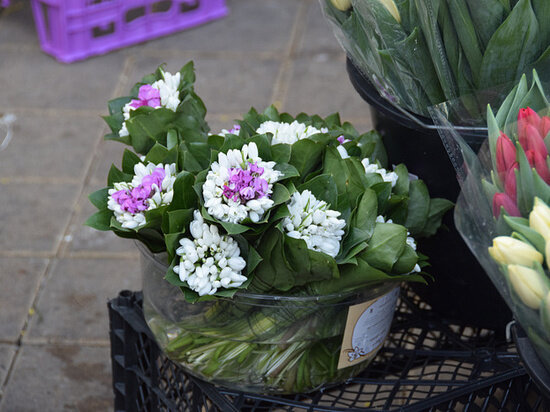   Пресс-служба администрации Сочи