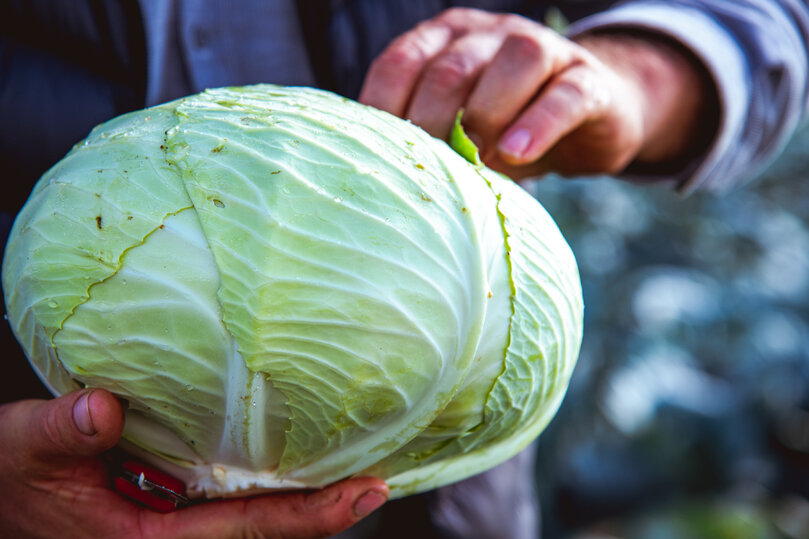 © ФОТО: ИД «ВОЛГОГРАДСКАЯ ПРАВДА» / СЕРГЕЙ ГРИГОРЕНКО / АРХИВ.