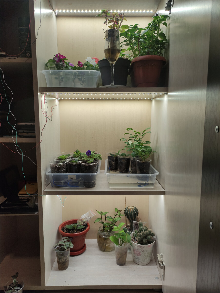 Шкаф с растерями.