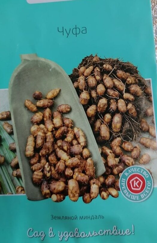 Приветствую вас на своём канале. Решила попробовать вырастить необычные семена Чуфу.
