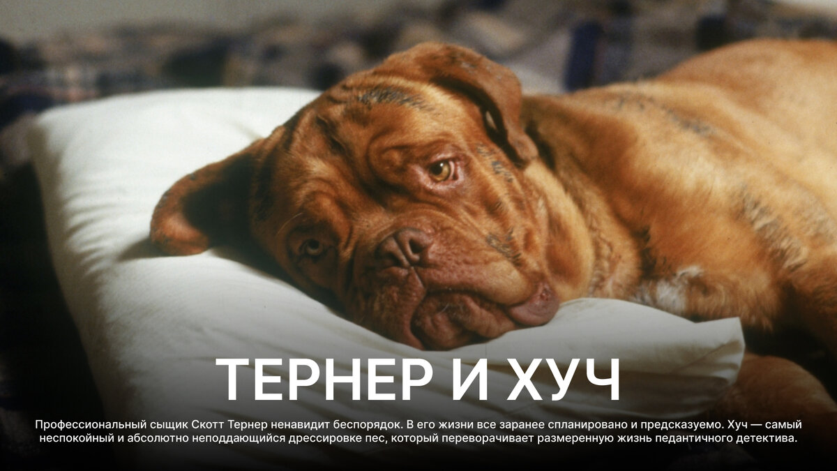  Тернер и Хуч, 1989 