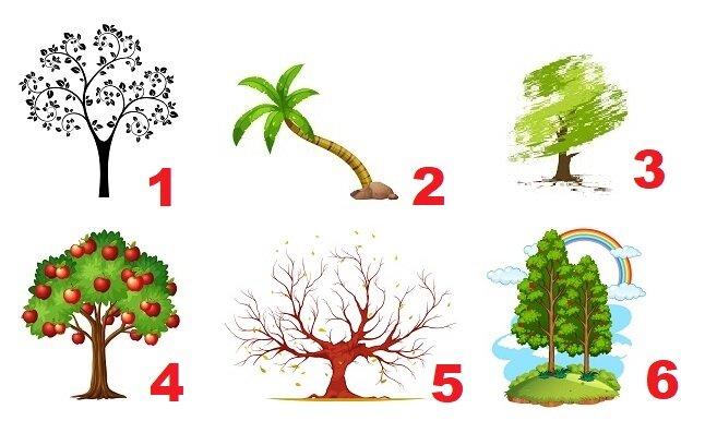 Рисунок дерева психологический тест