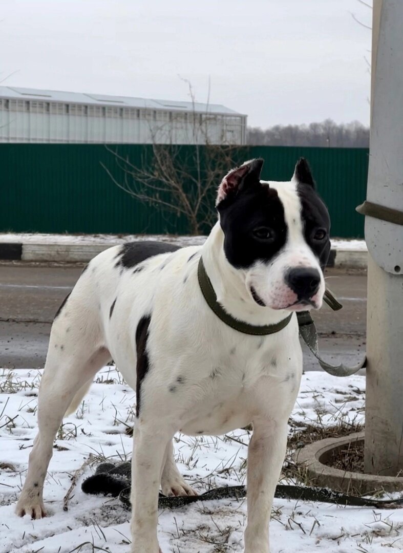 Можно листать