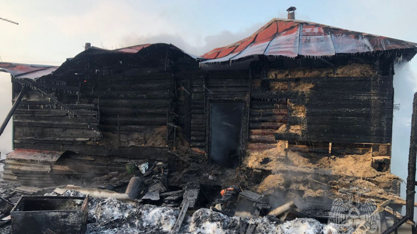   Фото пресс-служба ГУ МЧС по Саратовской области