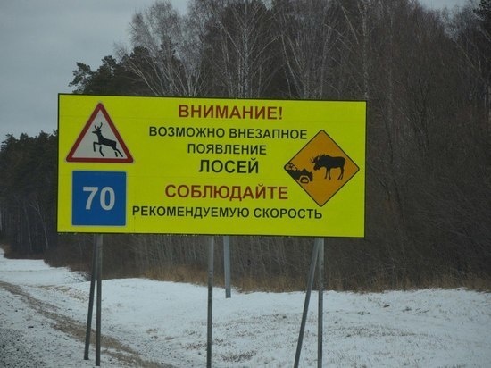     фото евгения шестернина/тг