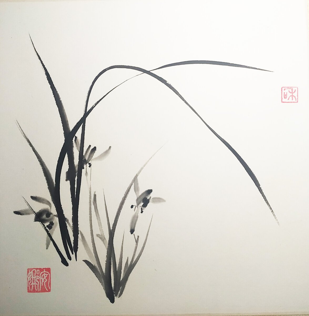 «Орхидея» 2019 г  35х35 рисовая бумага, тушь. Стиль се-и.