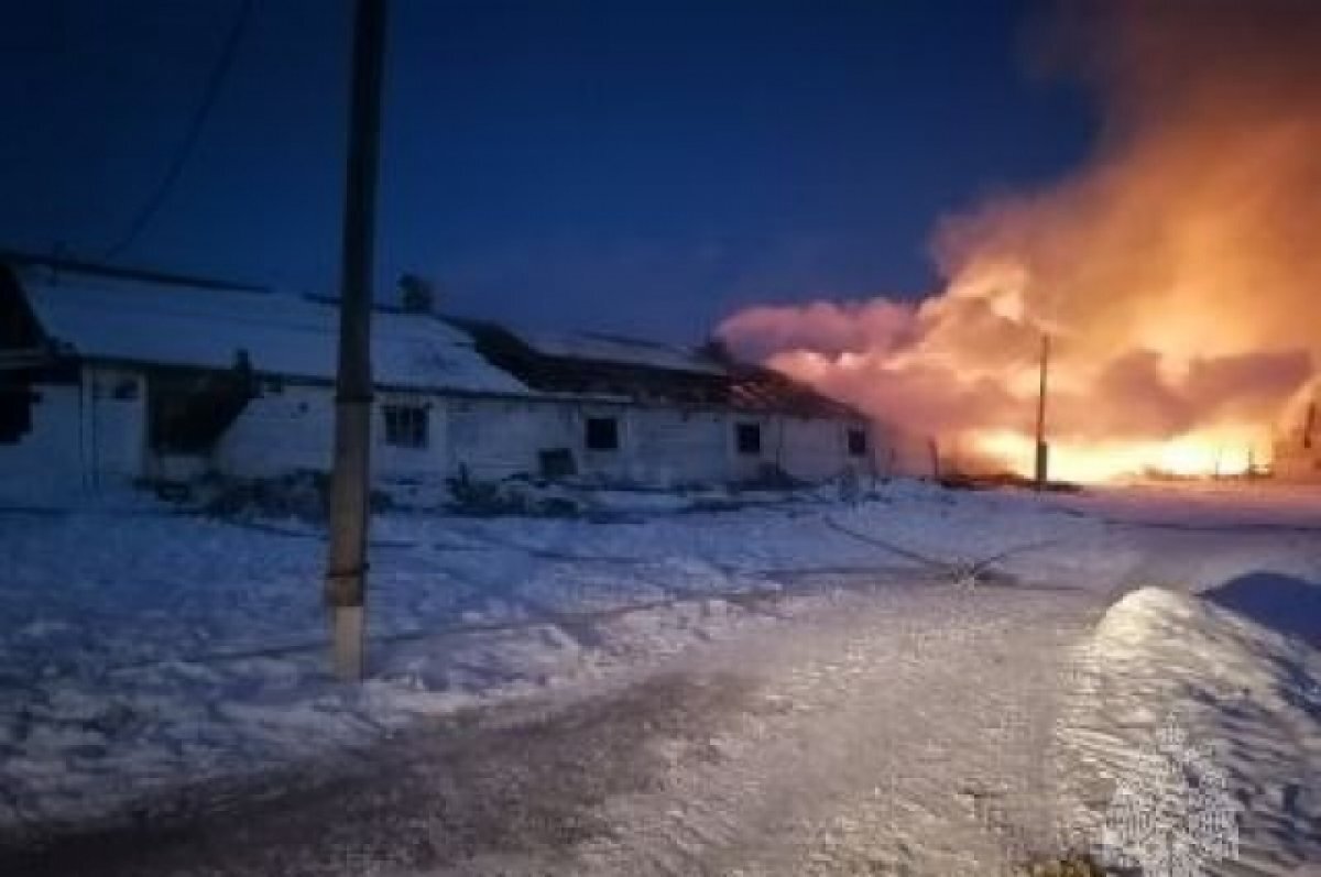    Площадь пожара составила 700 кв. метров, предварительная причина – замыкание электропроводки.