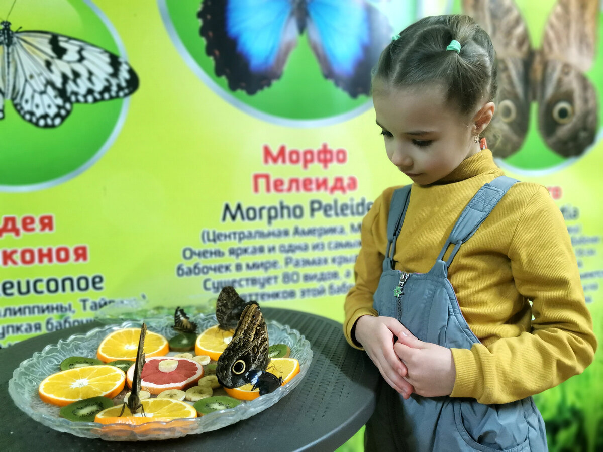 Фото автора канала 