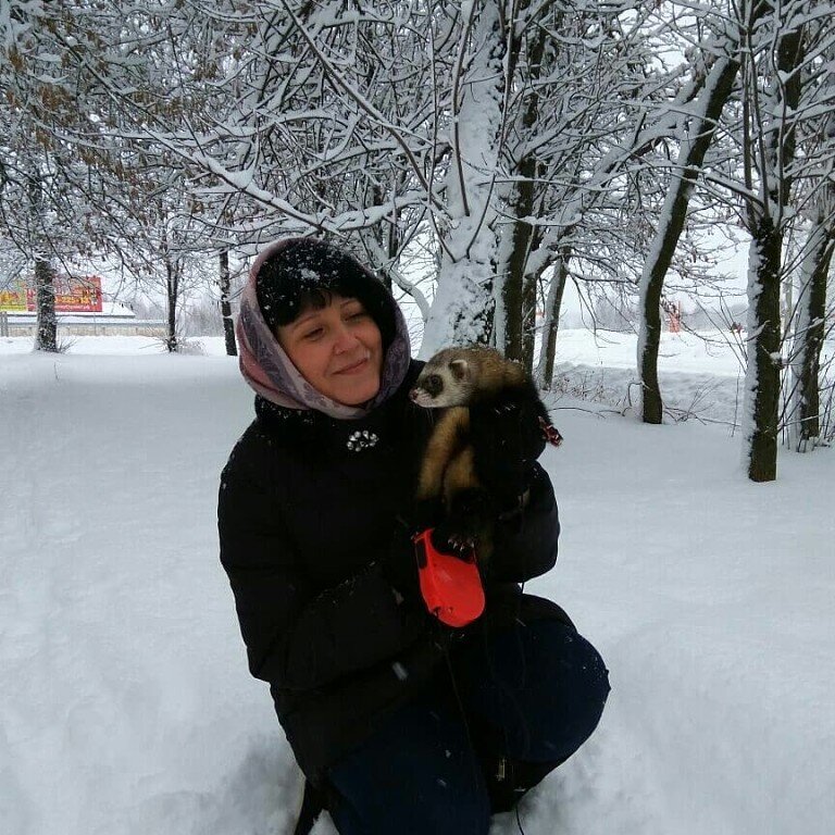 На прогулке с хорьком.