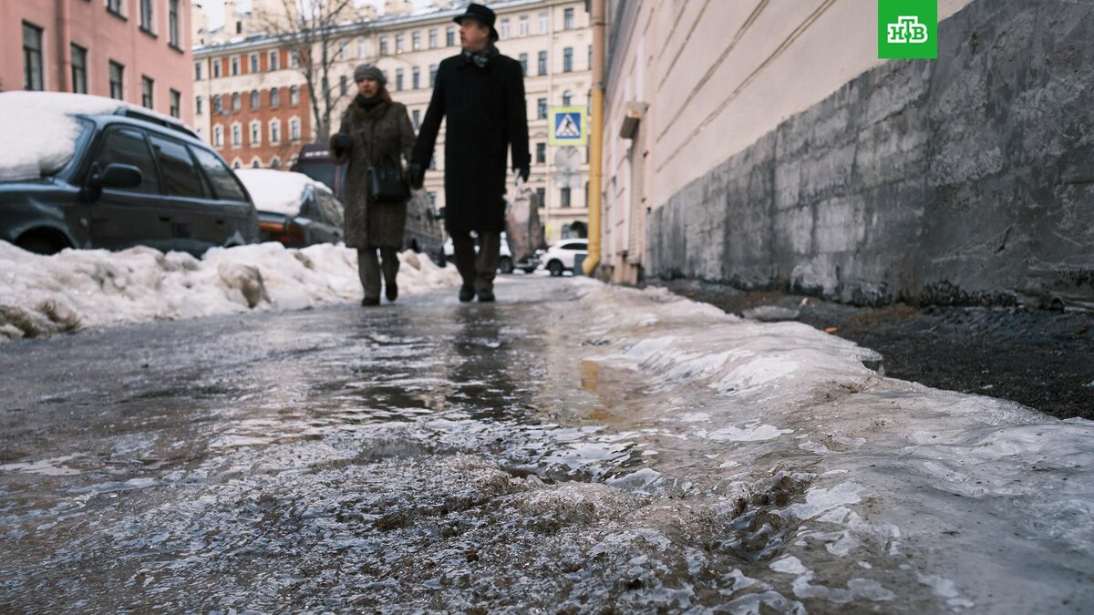    Фото: РИА Новости © 2023, Алексей Даничев