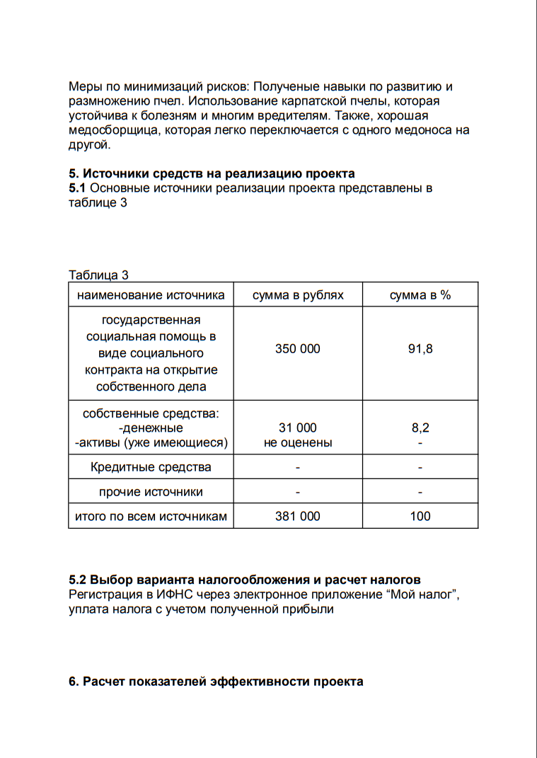 Делюсь Бизнес-планом для получения социального контракта (подготовка и ...
