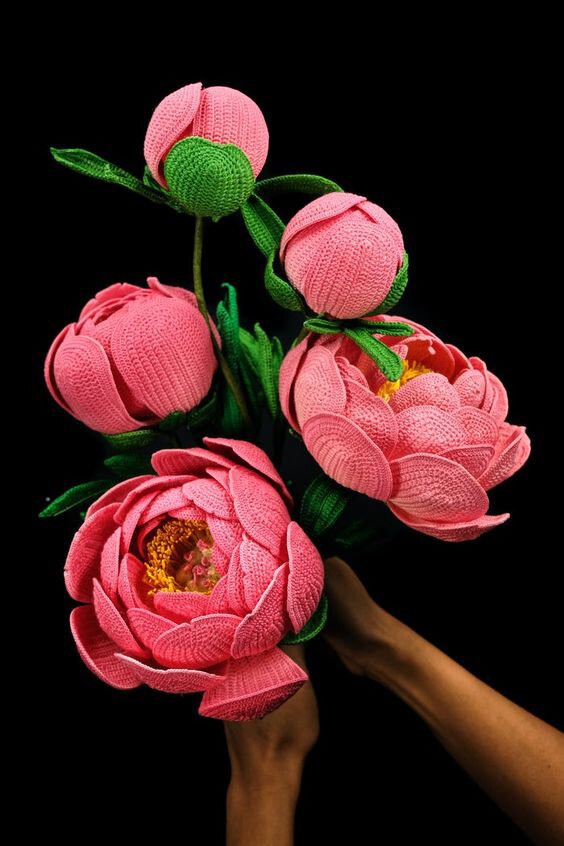 Цветы ПИОНА - фото из интернета.