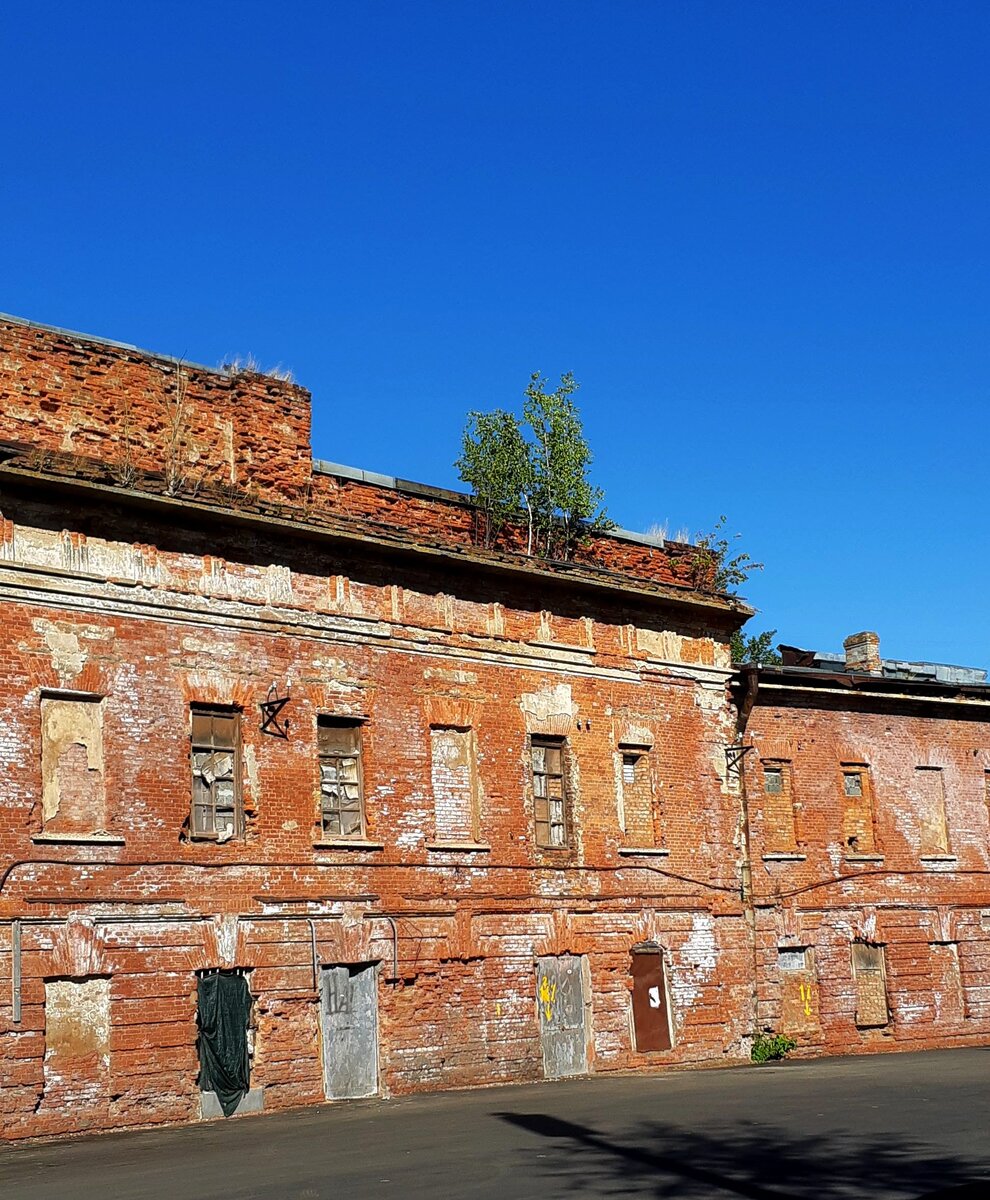 РОЖДЕНИЕ ПЕТЕРБУРГА | Виртуальные прогулки в историю | Дзен