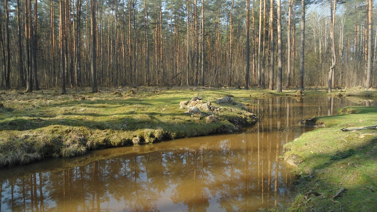 "Утро дворянина" - Нижний Новгород