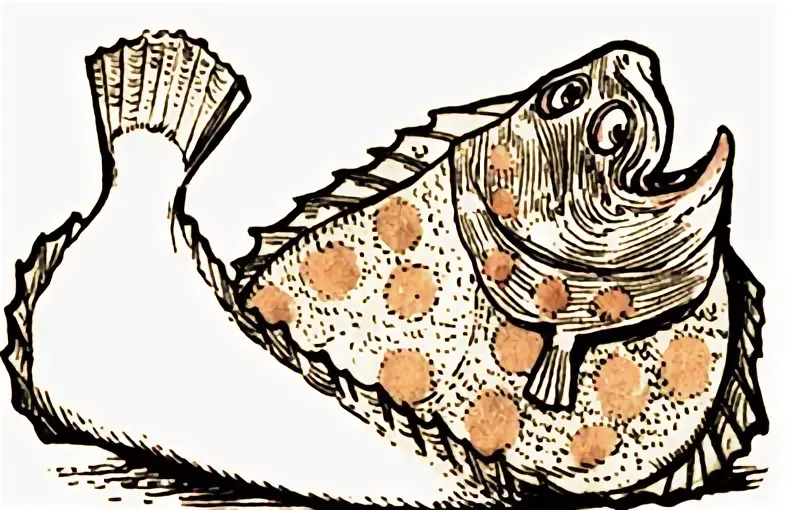 картинка отсюда: https://readandripe.com/fish-laughed/