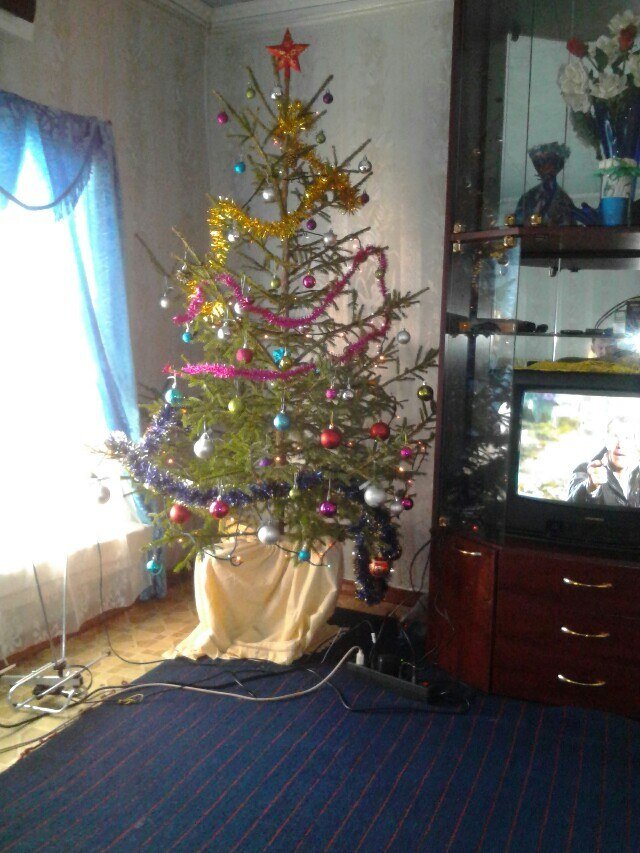 Первый Новый год в доме