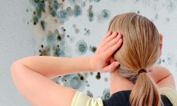    Картинная галерея в Феодосии зацвела буйным цветом