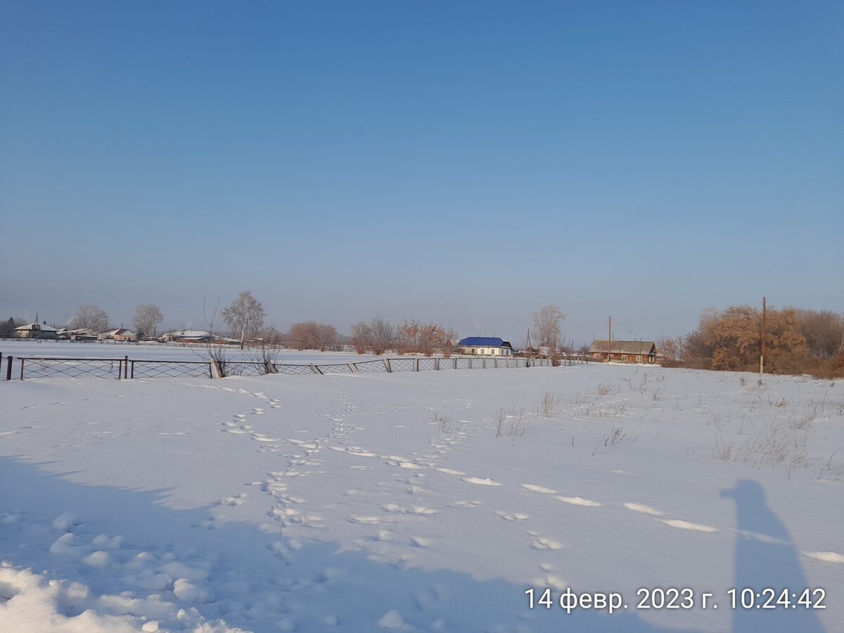школьный стадион