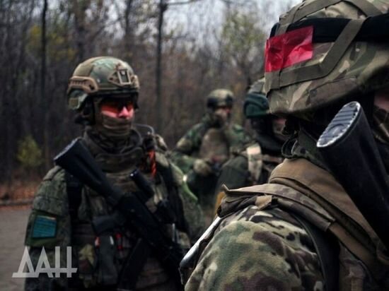     фото: дан