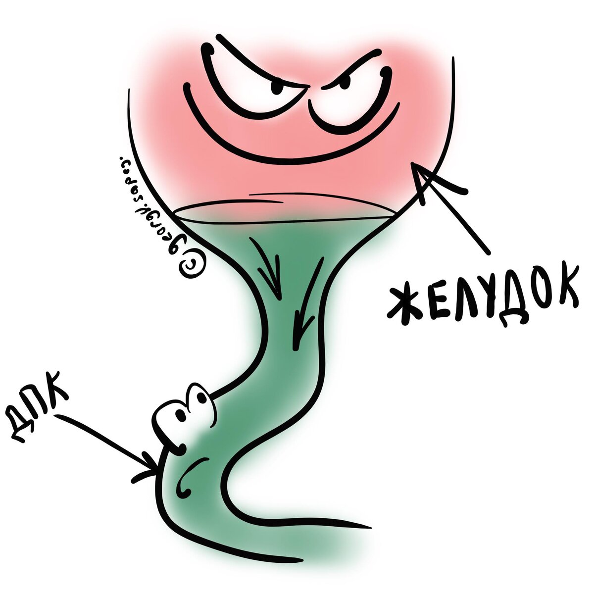 На каком боку лежать, чтобы кислота из желудка не достигла язвы ...