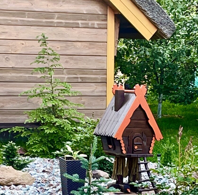 Тсуга в моем салк