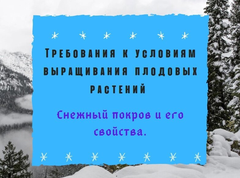 Питомник ЛПООС