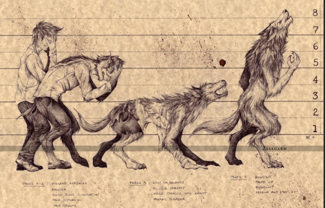 Превращение человека в волка. Источник фото ru.pinterest.com