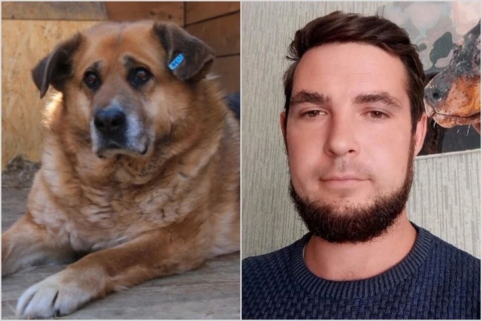 Жюля и Александр