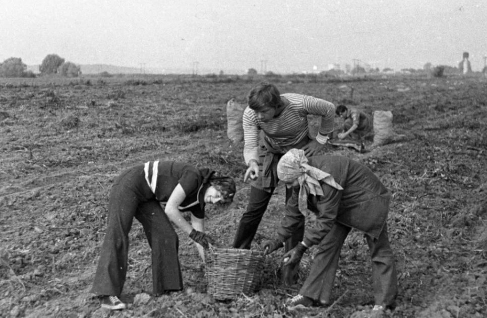  Посадка растений и сбор урожая знакомы каждому, кто хоть немного знаком с деревней. Труд тяжелый и не всегда оправданный, неумолимо сопровождает нас и сегодня.-4