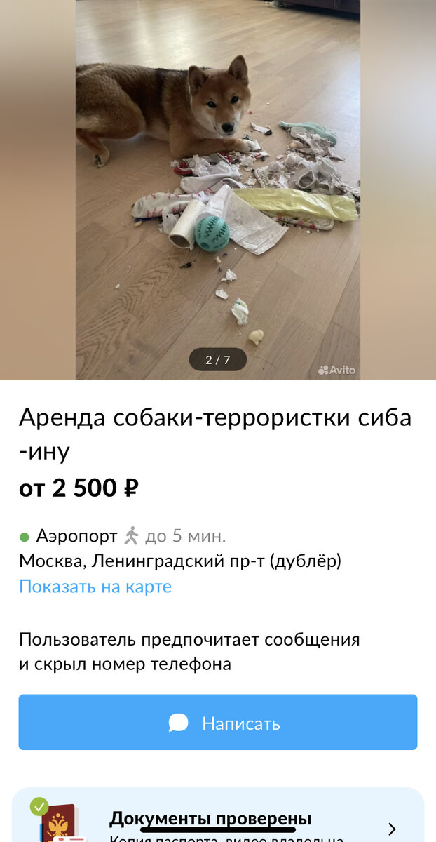Скрин с Авито