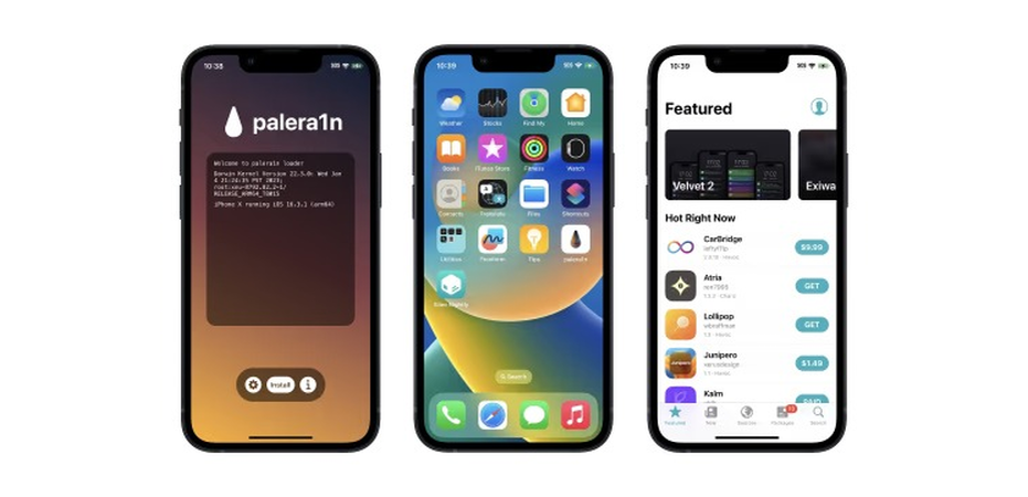    palera1n