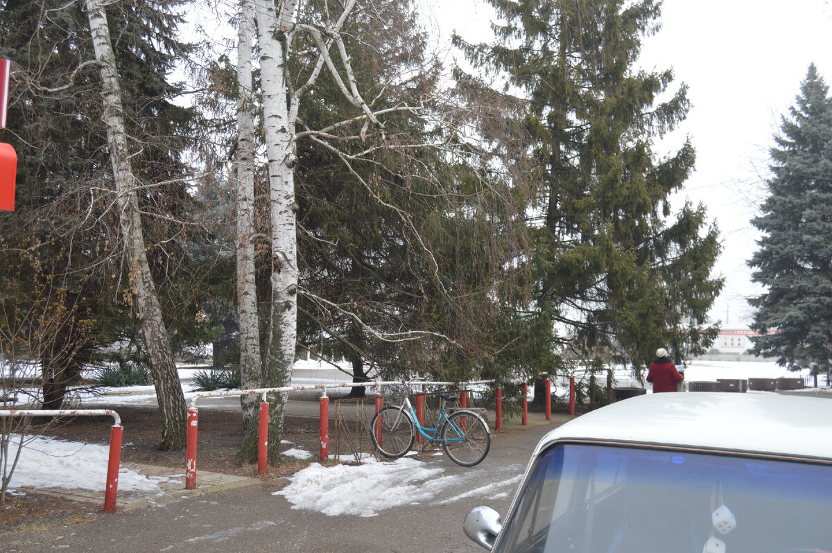 Фото автора. 16.02.2023. Станица. Это не Север, это Кубань.