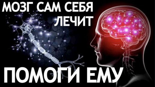 МОЗГ САМ СЕБЯ ЛЕЧИТ, ПОМОГИ ЕМУ | Инсульт Блог Виталий Шабанов | Дзен