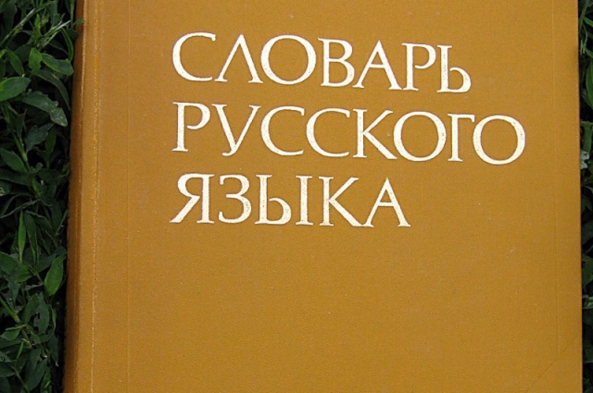    Госдума приняла закон о защите русского языка от засилья иностранных слов