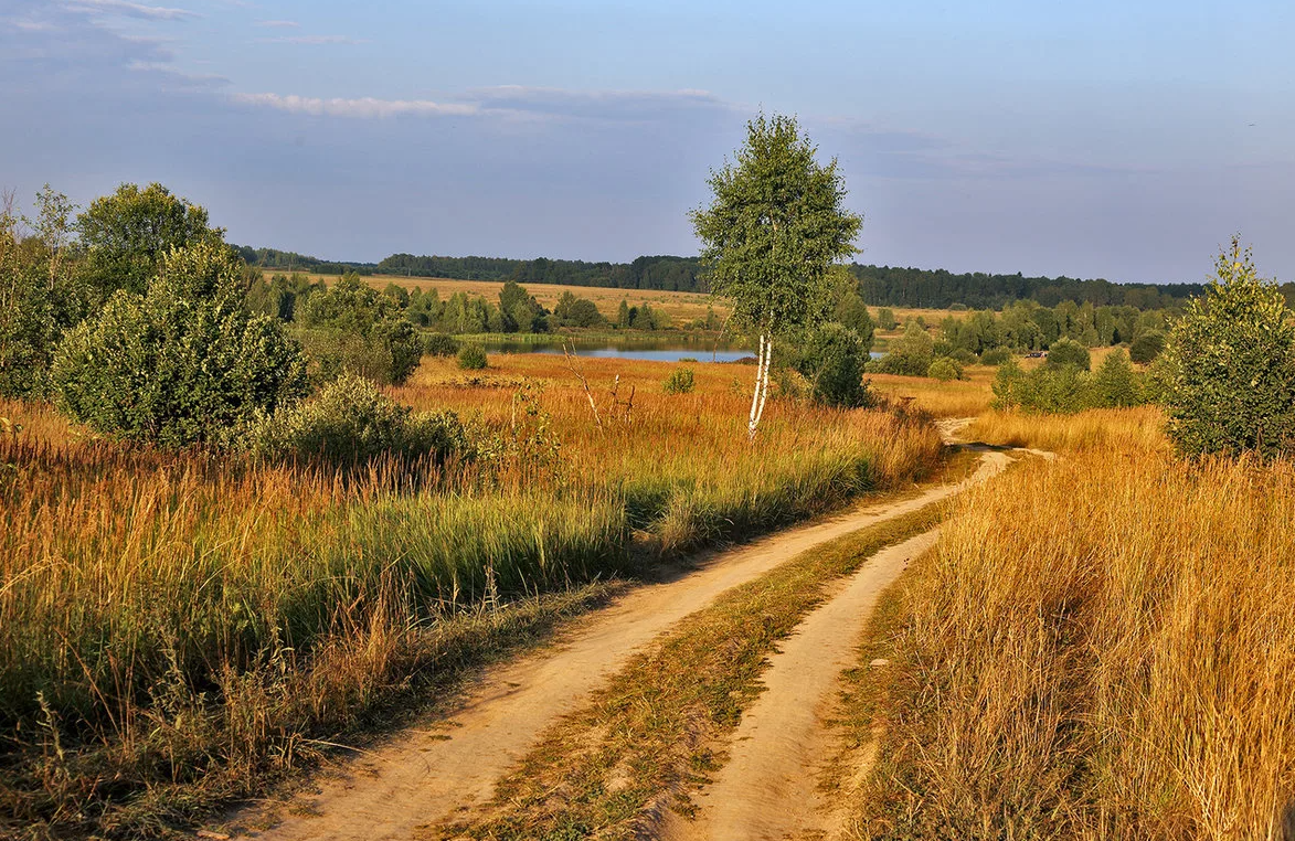 Яндекс картинки