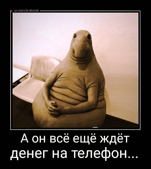 Ведь кто-нибудь да закинет...