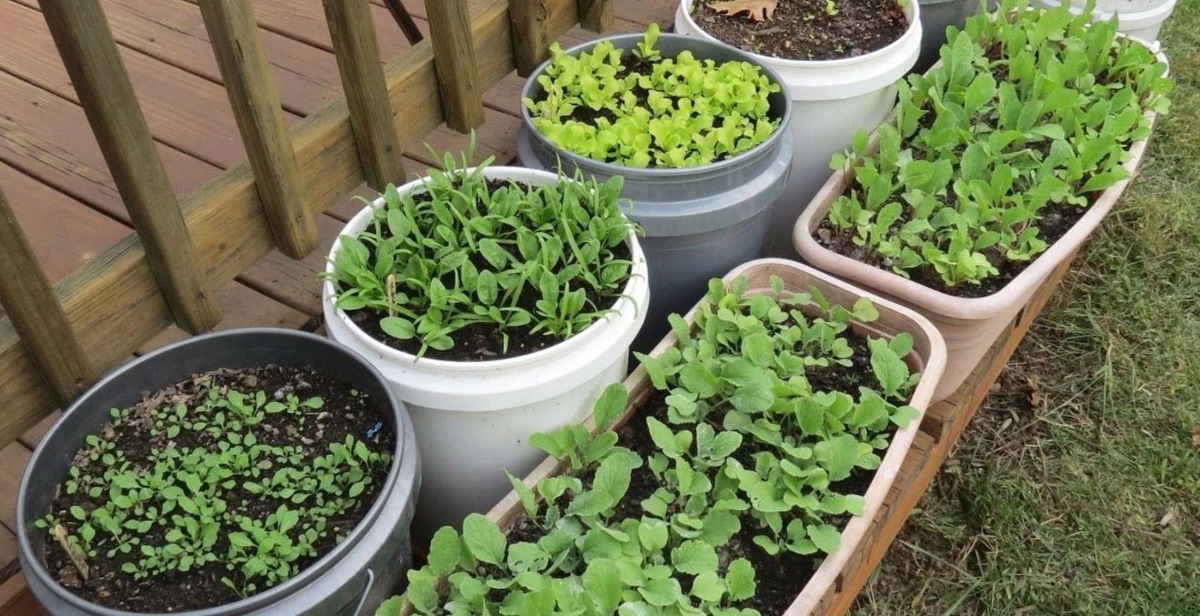 Изображение взято из открытых источников