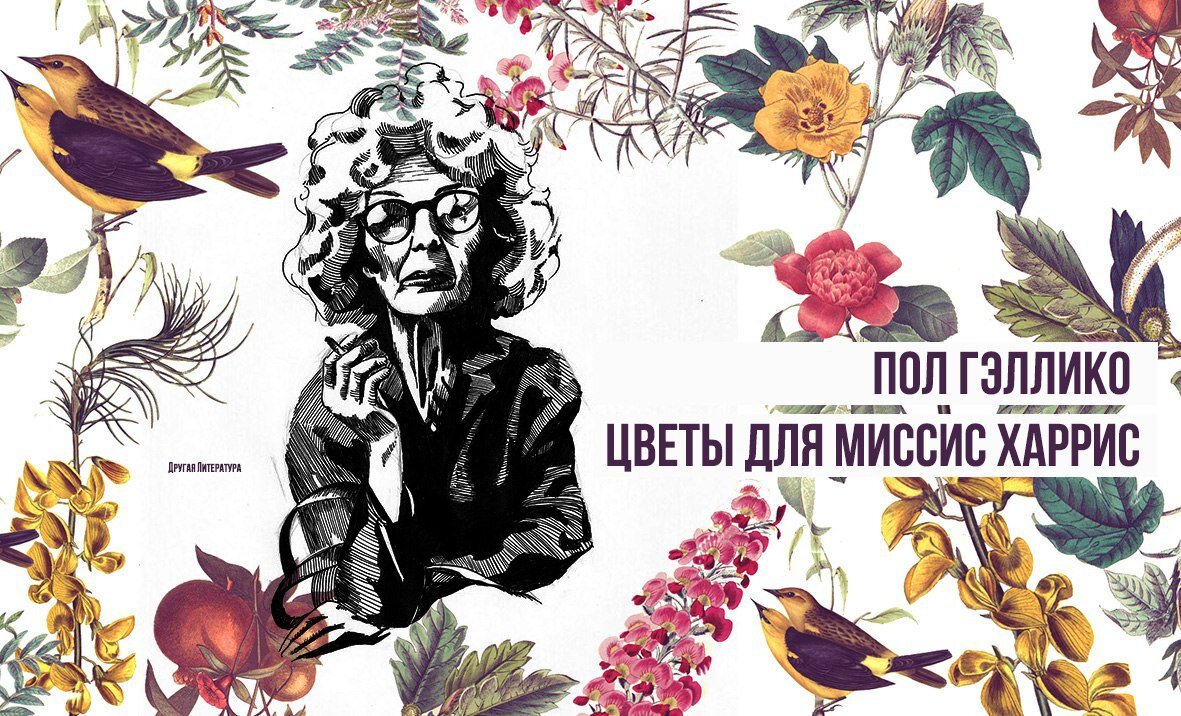 Яндекс Картинки