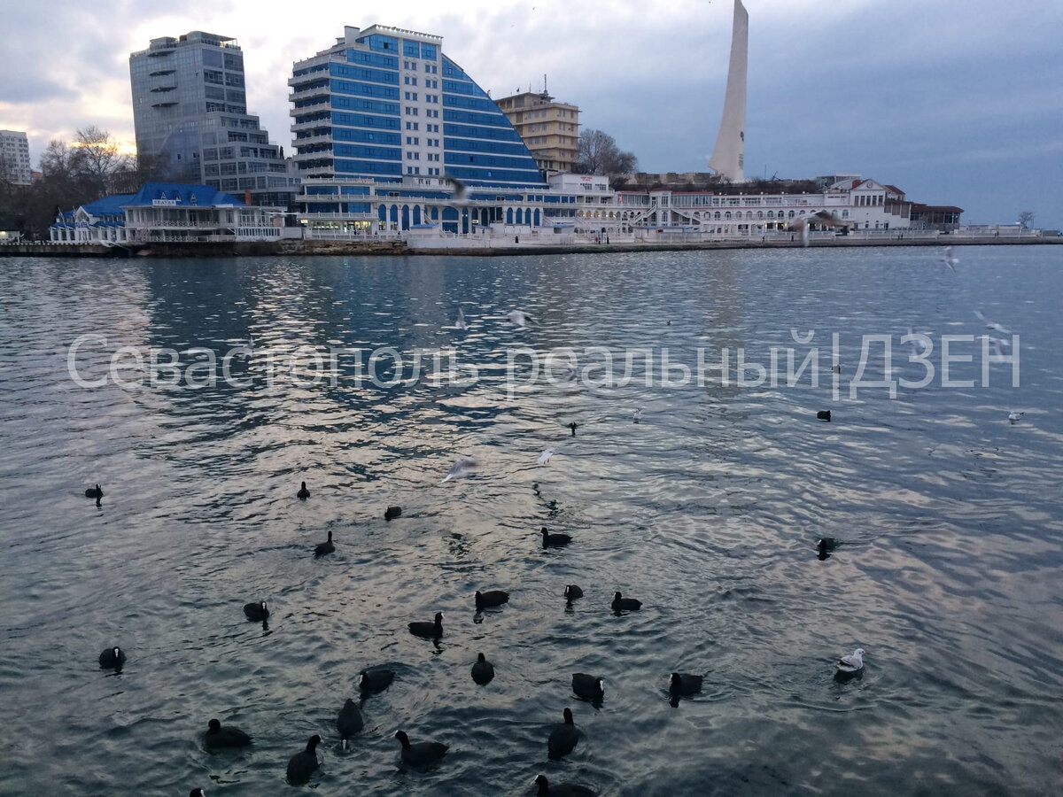 Авторские фото