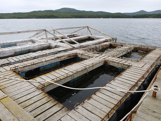 ФОТО — ИВАН ДЯКИН (ПРАВИТЕЛЬСТВО ПРИМОРСКОГО КРАЯ)