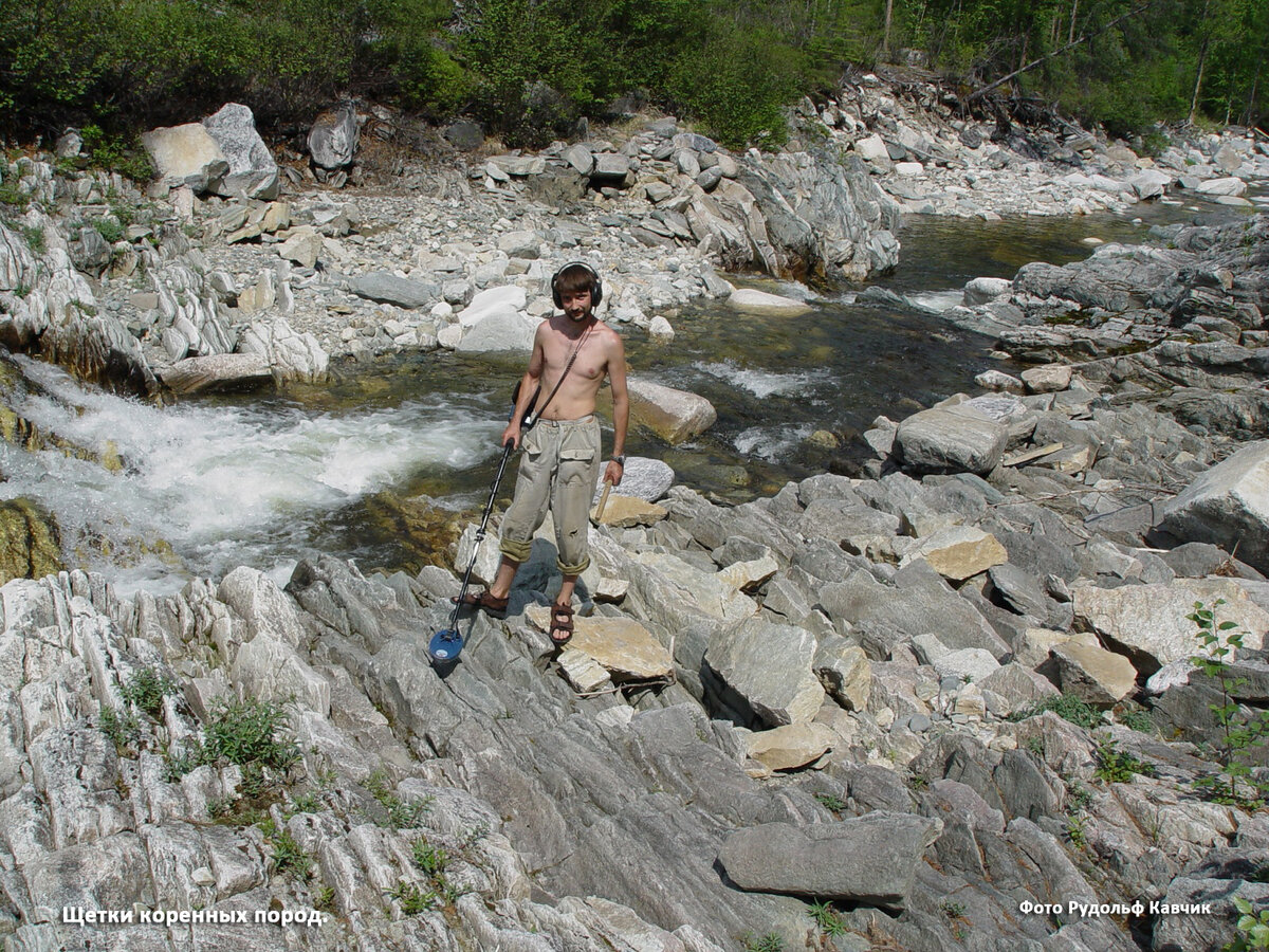 Фото. Щетки коренных пород