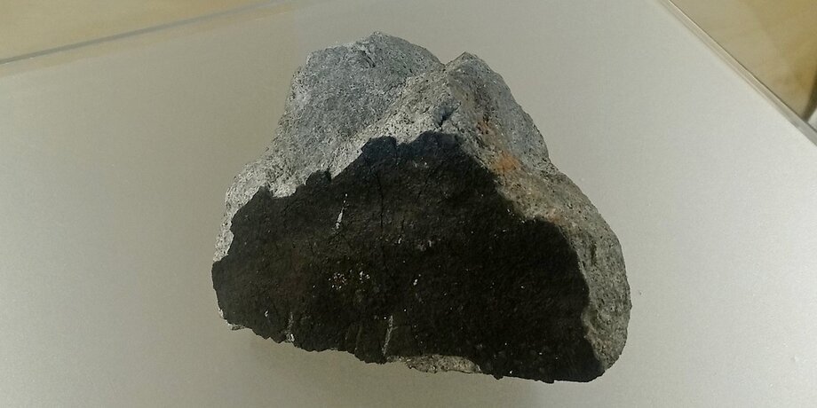 Фото: vk.com/mamont_perm