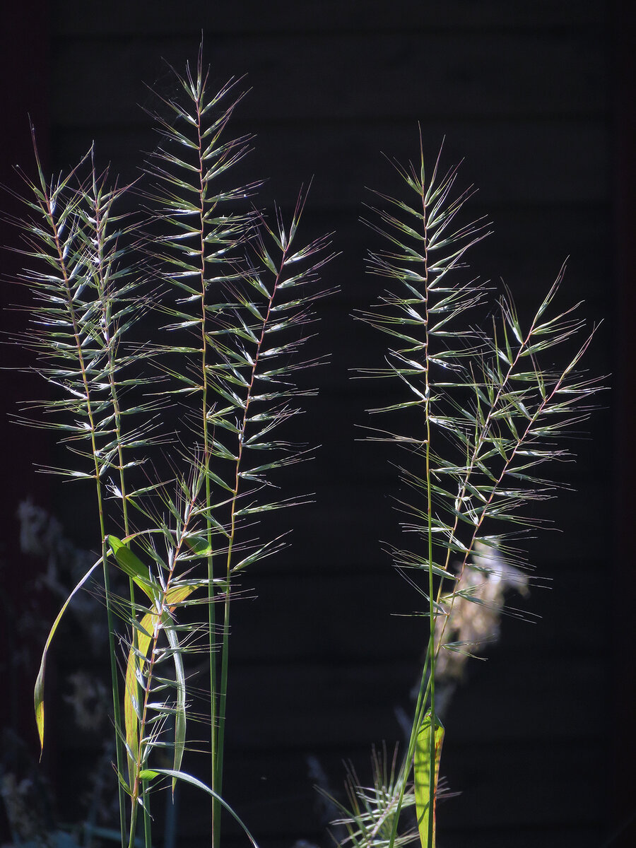    15 августа 2022