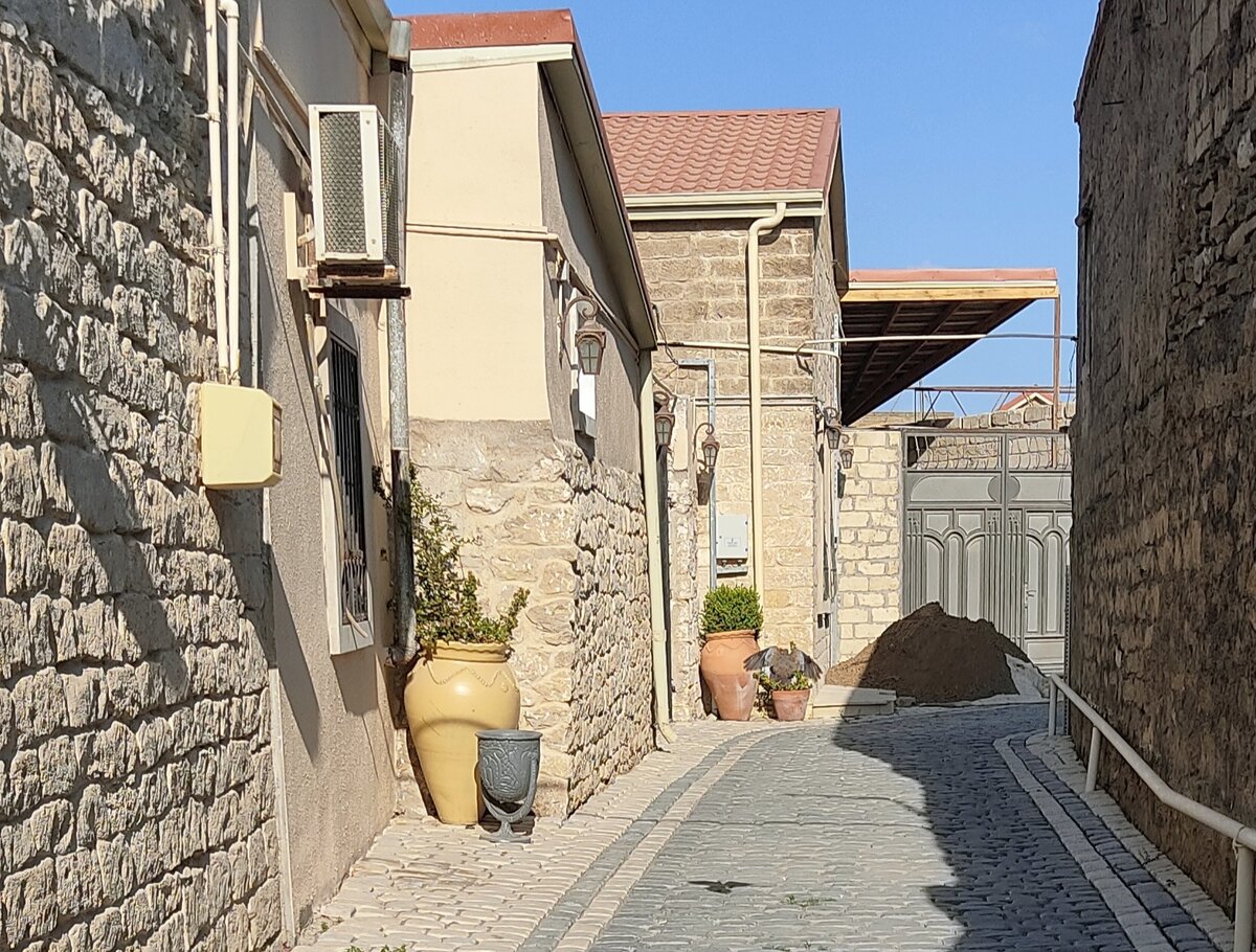 Улица в поселке Рамана