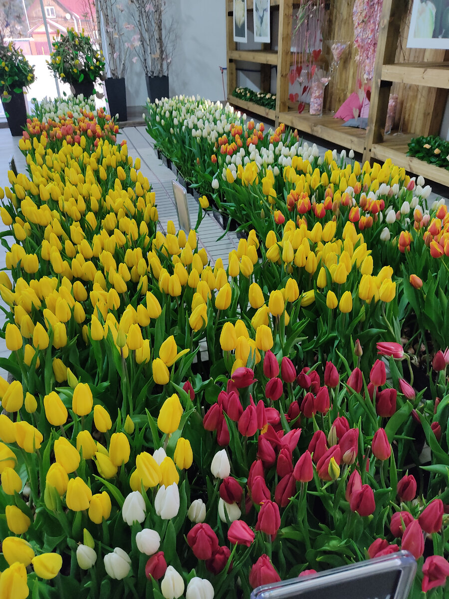 Фото автора.