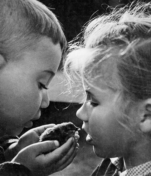 Юрий Приведенцев Нашли птенчика. 1964 г.