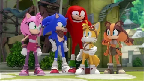 Персонажи сериала слева направо: Эми Роуз, Соник, Наклз, Тейлз и Стикс